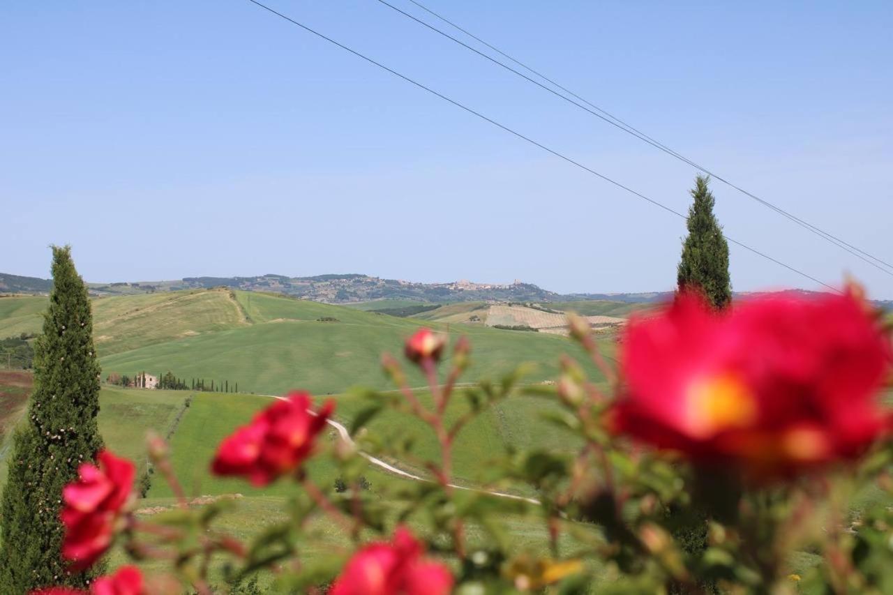 Agriturismo La Paciarella Villa Campiglia d'Orcia Luaran gambar