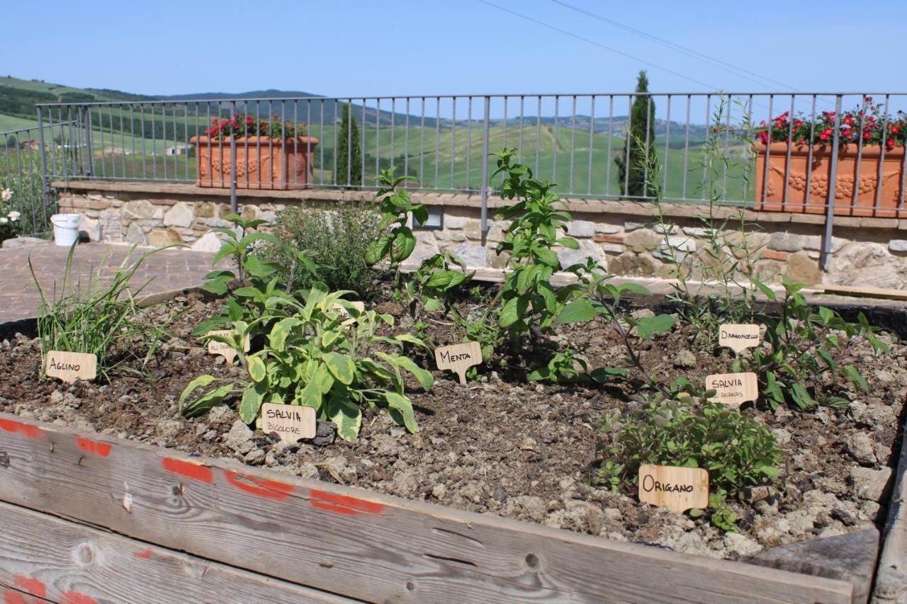 Agriturismo La Paciarella Villa Campiglia d'Orcia Luaran gambar