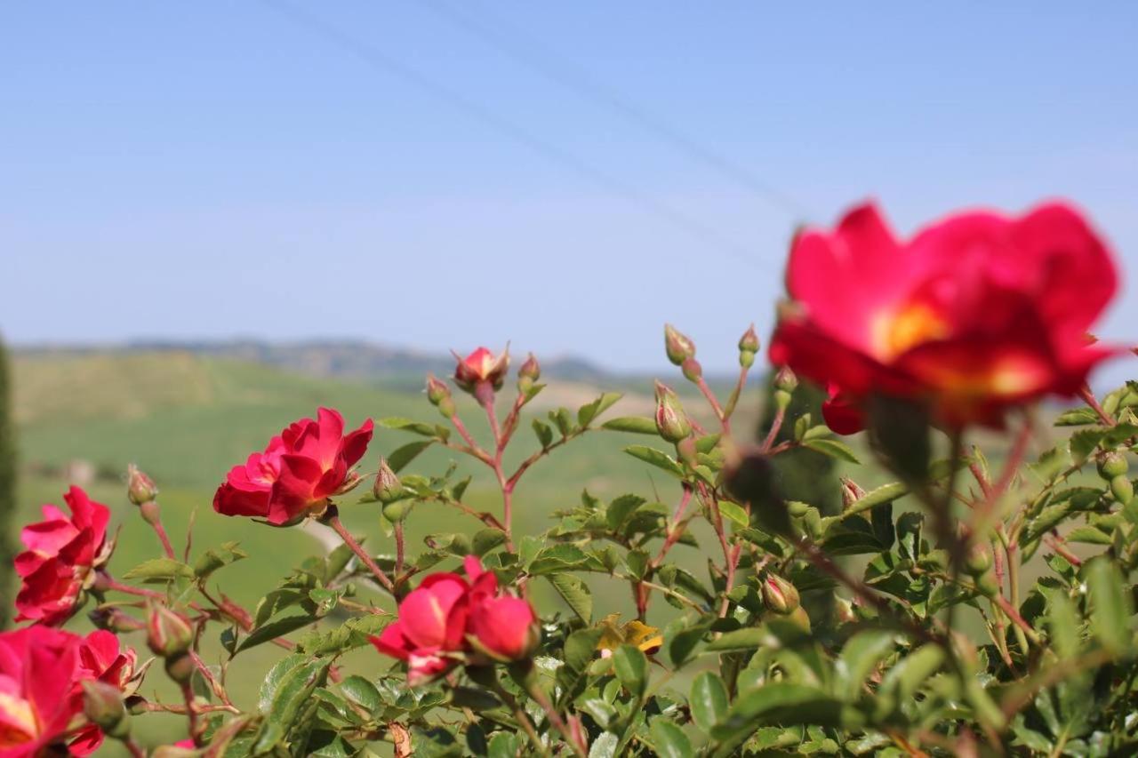 Agriturismo La Paciarella Villa Campiglia d'Orcia Luaran gambar