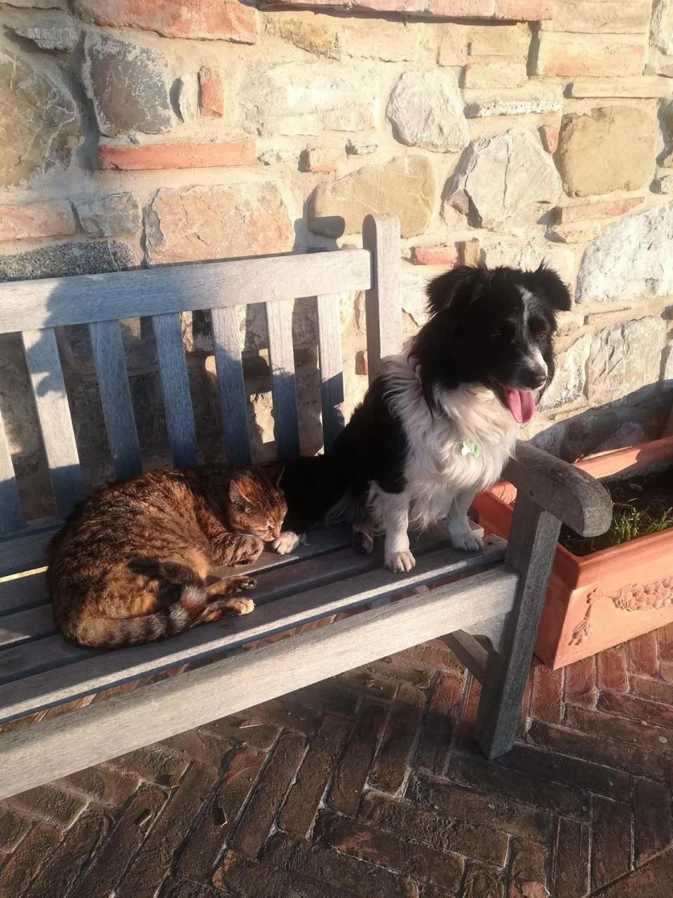 Agriturismo La Paciarella Villa Campiglia d'Orcia Luaran gambar